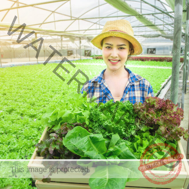 Perbedaan Jurusan Agribisnis dan Agroteknologi: Mana Pilihanmu?