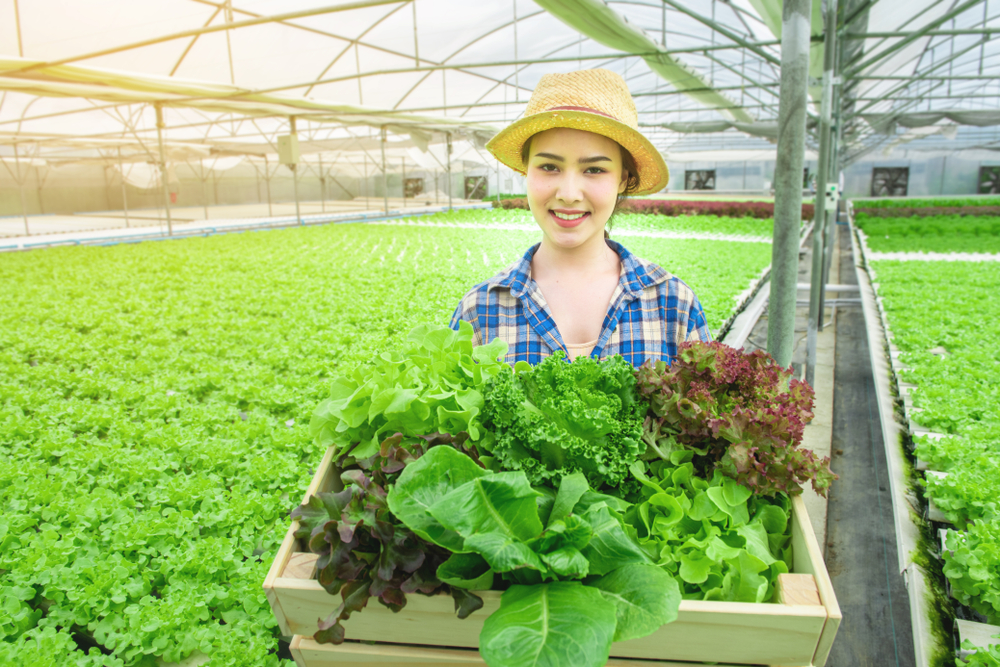 jurusan agribisnis dan agroteknologi